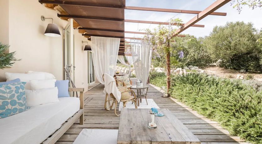 Photo of The Surprise