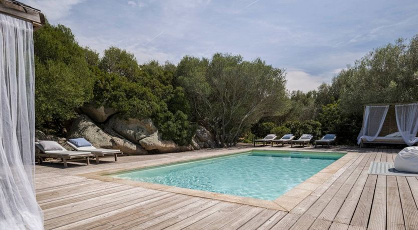 Photo of The Surprise