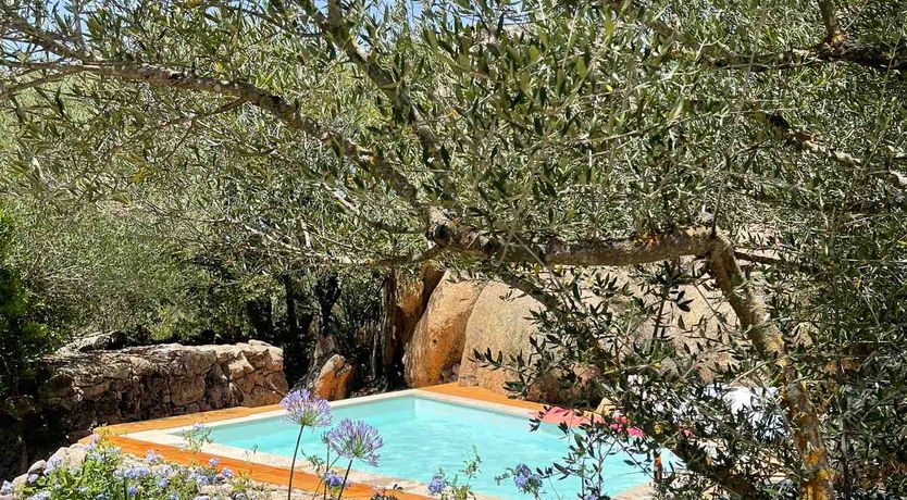 Photo of The Surprise