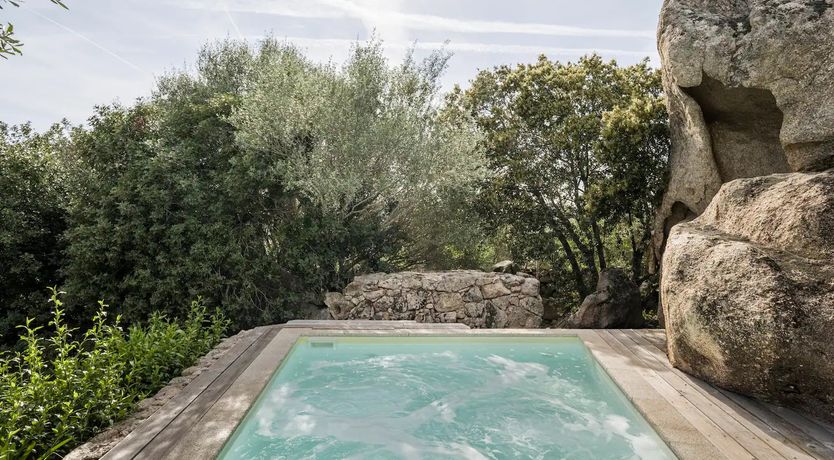 Photo of The Surprise