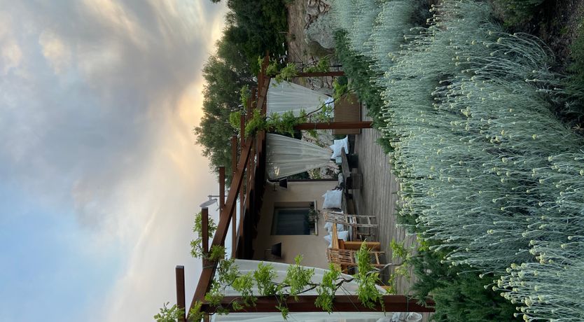 Photo of The Surprise