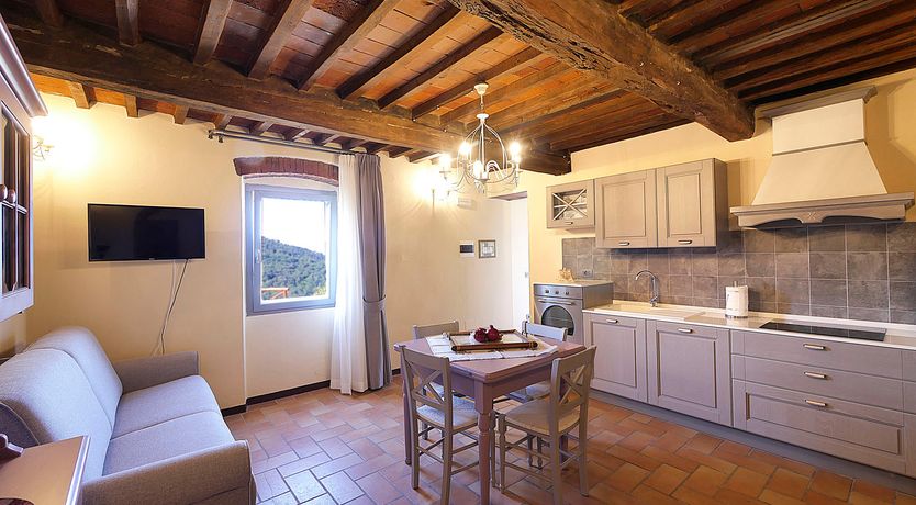 Photo of Tuscan Violets