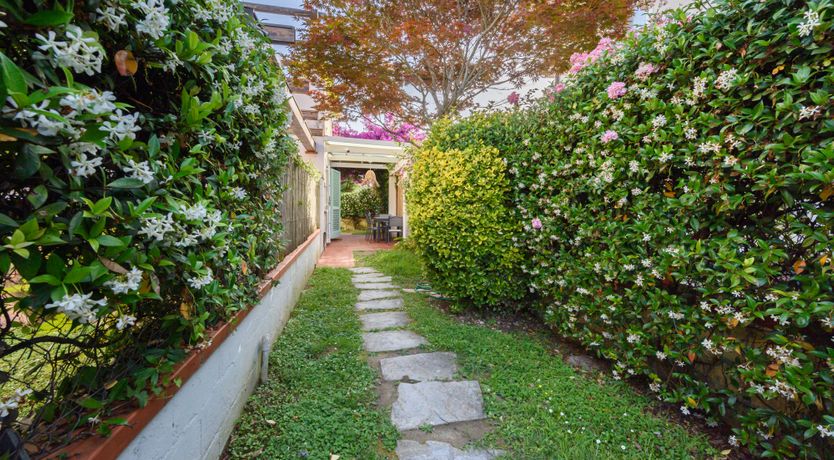 Photo of Tuscany Azure