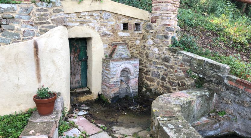 Photo of Wisteria Walk