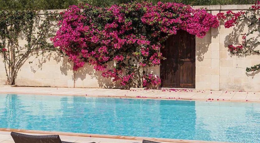 Photo of Olive's Haven