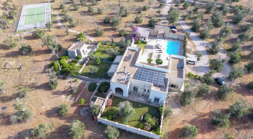 Photo of Olive's Haven