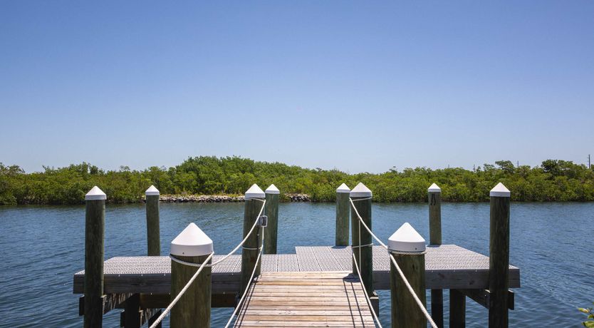 Photo of Shellstone Magic