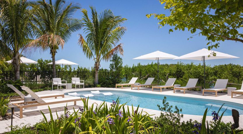 Photo of Shellstone Magic