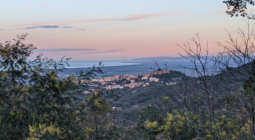 Photo of The Old Carriage