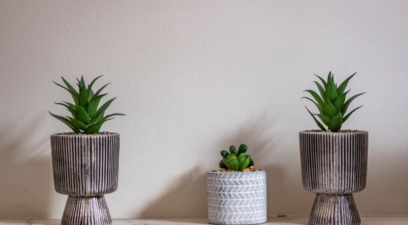 Photo of The Brilliant Avenue