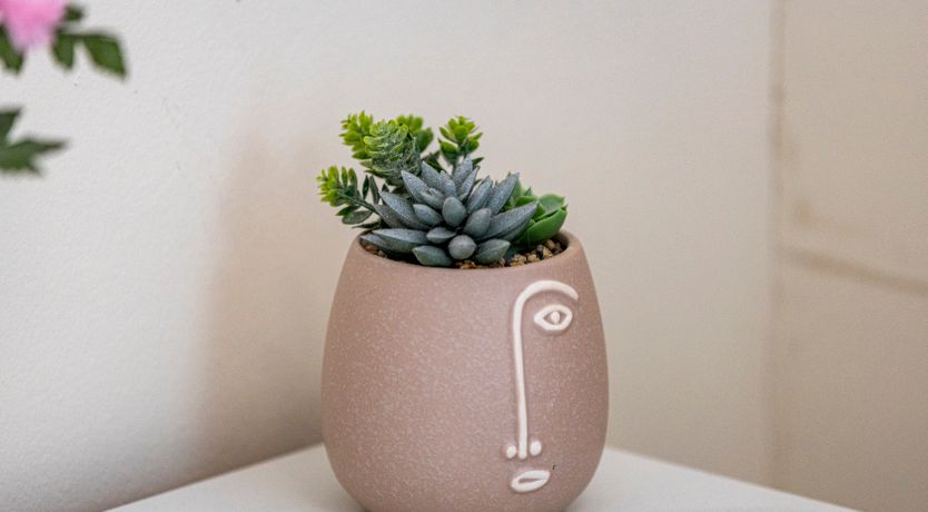 Photo of The Brilliant Avenue