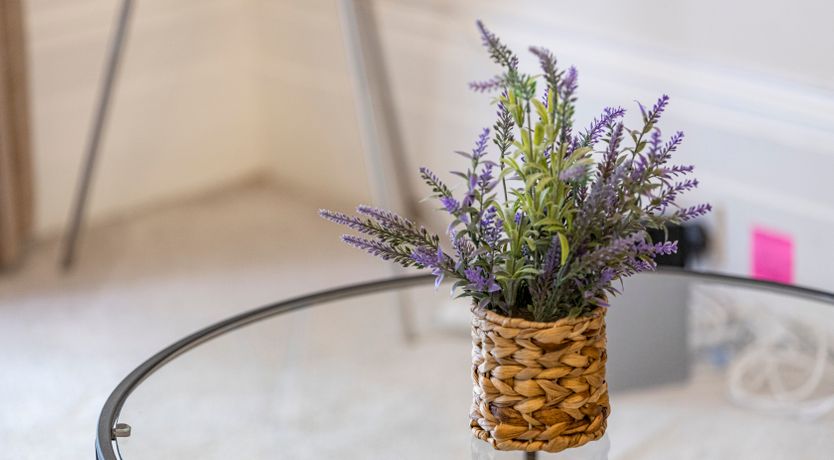 Photo of The Brilliant Avenue