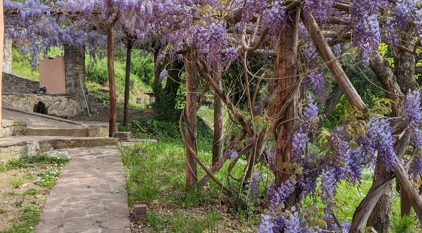 Photo of Tuscan Flavour