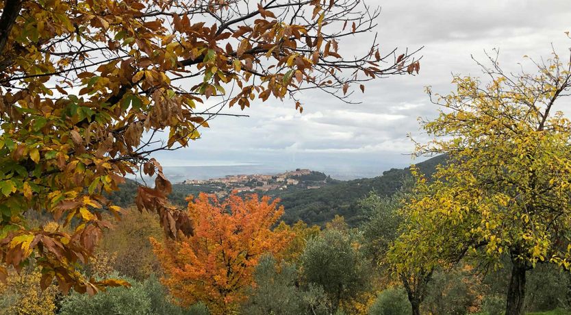 Photo of Tuscan Flavour