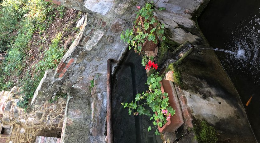 Photo of Tuscan Flavour