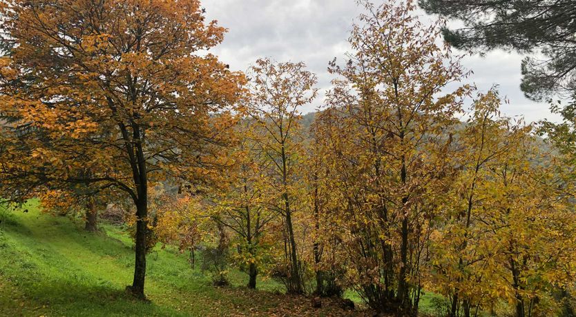 Photo of Tuscan Flavour