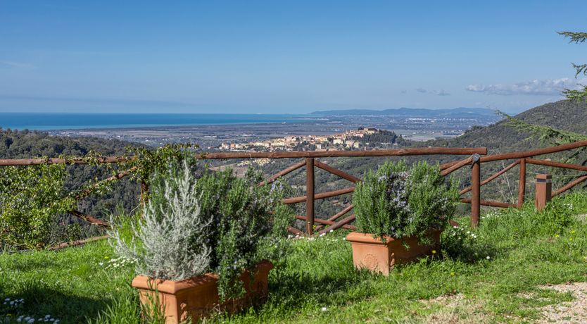 Photo of The Frescoed Coat of Arms
