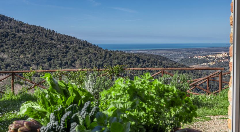 Photo of The Frescoed Coat of Arms