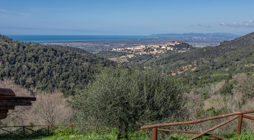 Photo of The Frescoed Coat of Arms