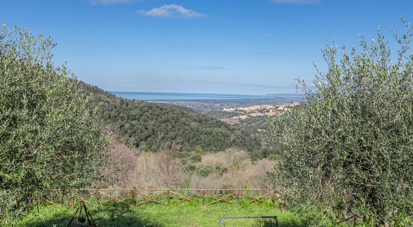 Photo of The Frescoed Coat of Arms