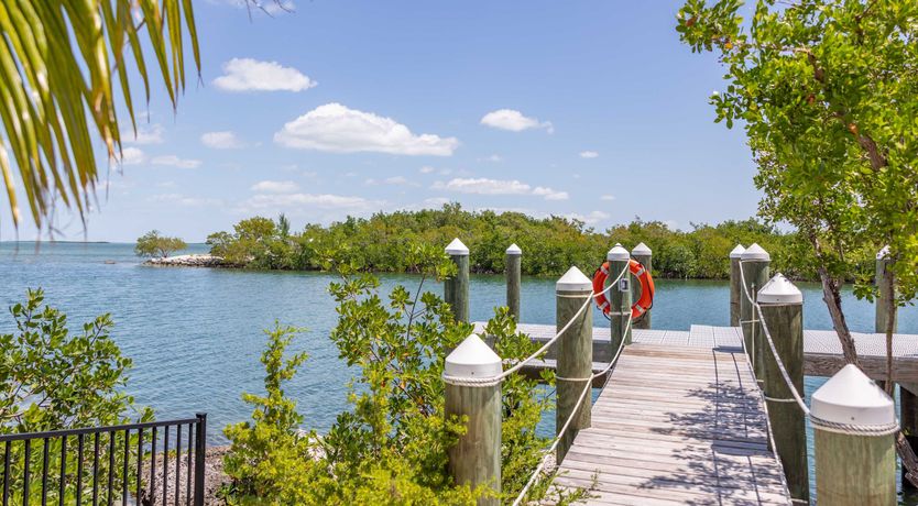 Photo of The New Standard