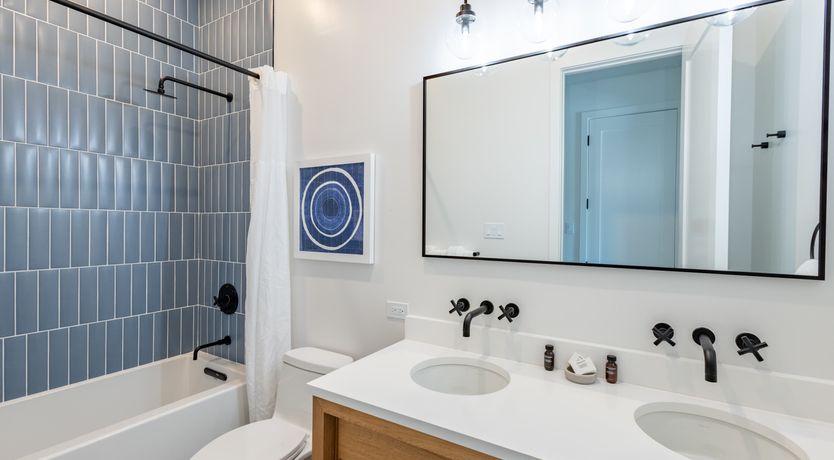 Photo of The New Standard