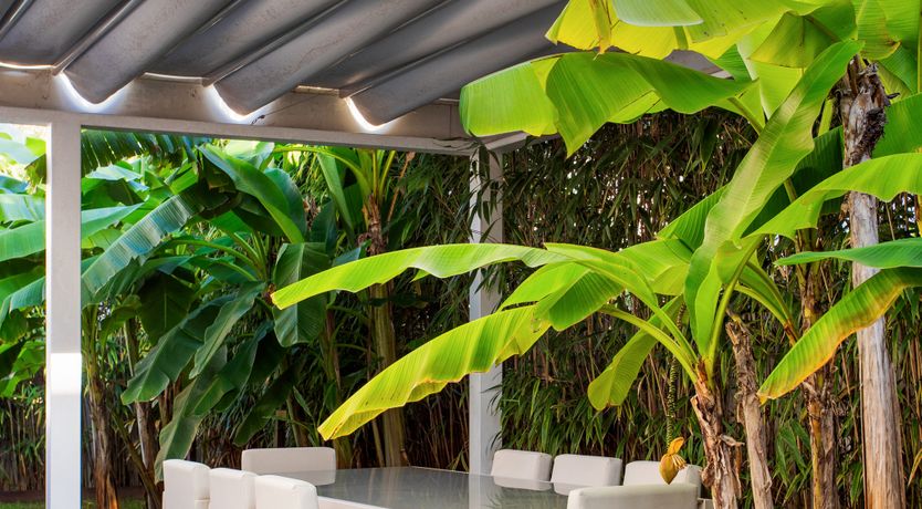 Photo of Modern Eden