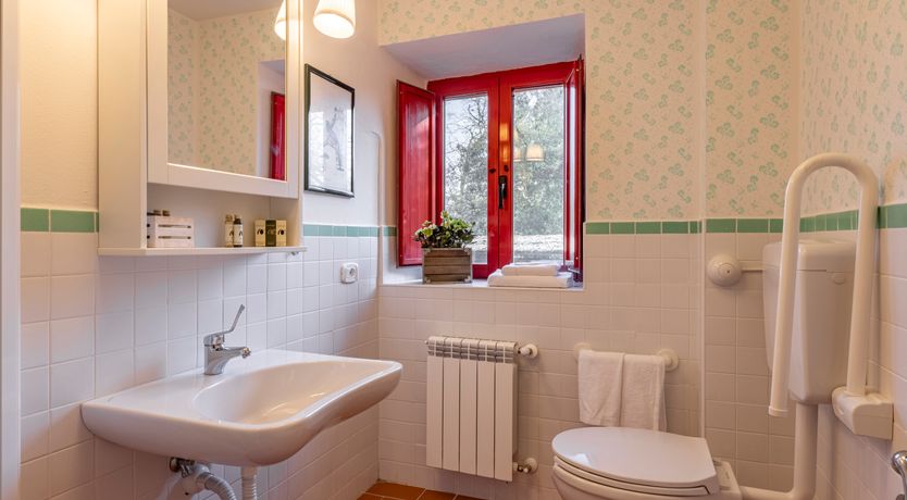 Photo of The Forest & The Sea