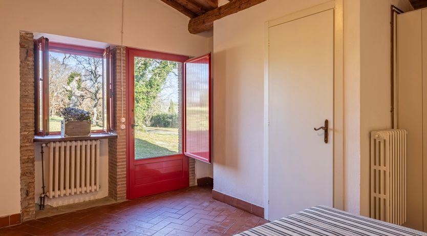 Photo of The Forest & The Sea