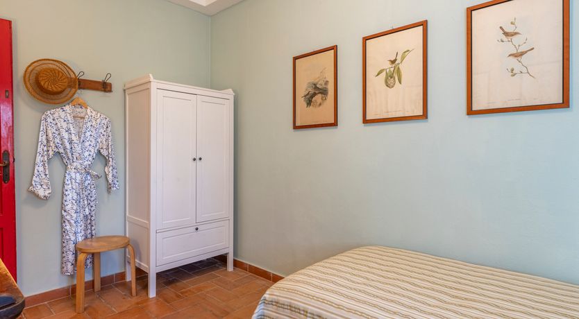 Photo of The Forest & The Sea