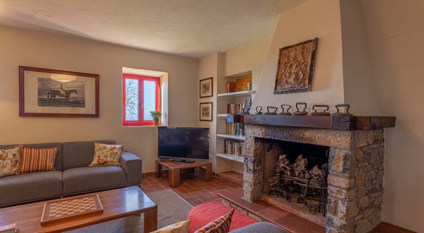 Photo of The Forest & The Sea