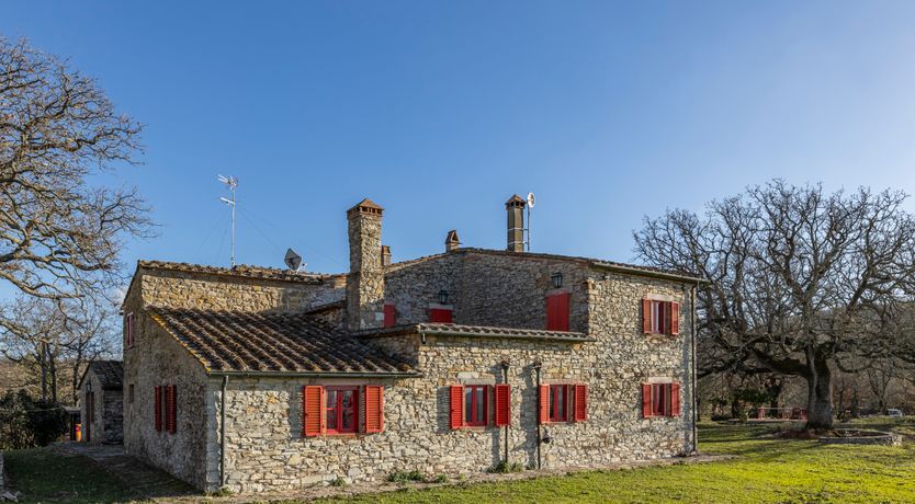 Photo of The Forest & The Sea