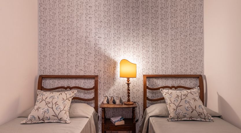 Photo of The Forest & The Sea