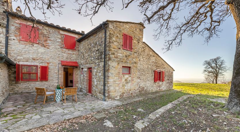 Photo of The Forest & The Sea