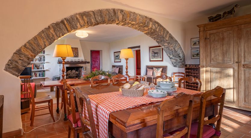 Photo of The Forest & The Sea