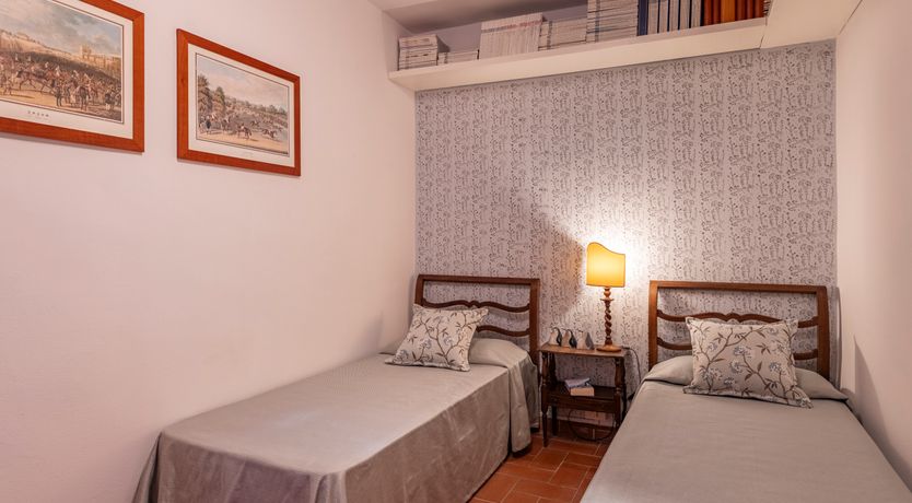 Photo of The Forest & The Sea