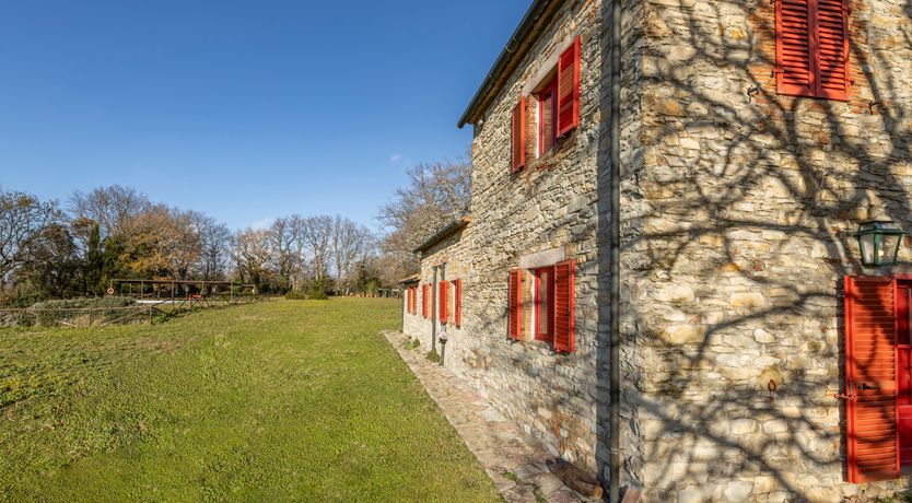 Photo of The Forest & The Sea