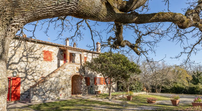 Photo of The Forest & The Sea