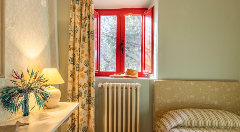 Photo of The Forest & The Sea