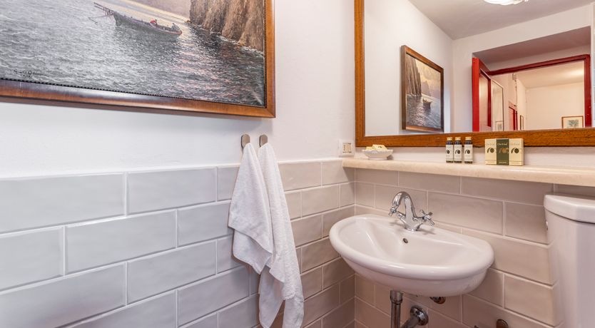 Photo of The Forest & The Sea