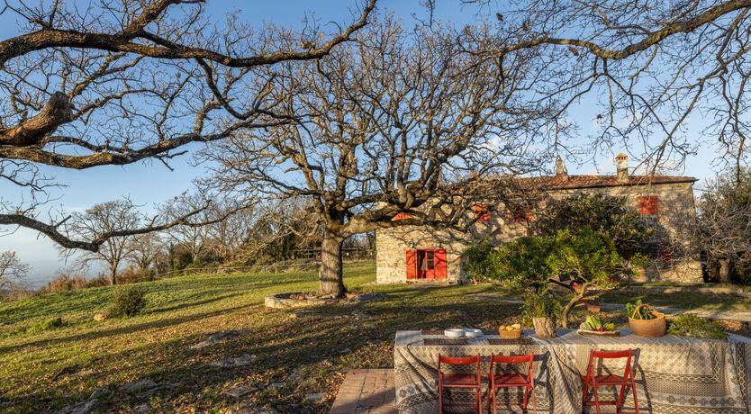 Photo of The Forest & The Sea