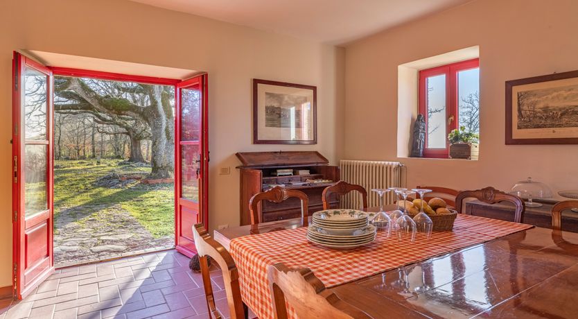 Photo of The Forest & The Sea