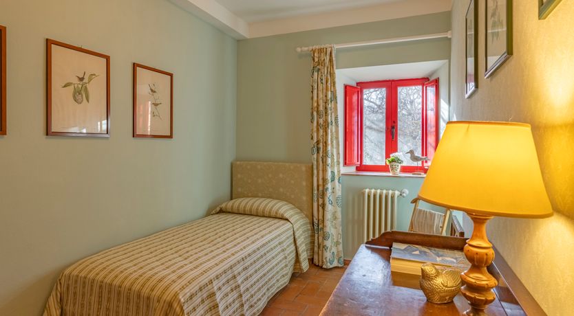 Photo of The Forest & The Sea