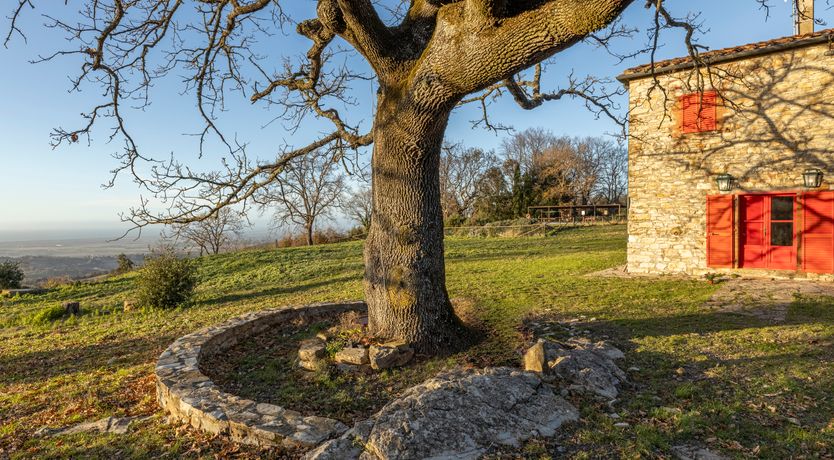 Photo of The Forest & The Sea