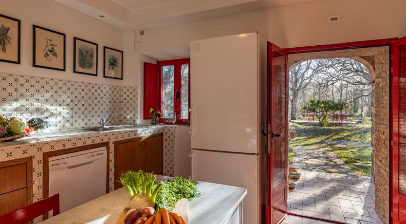 Photo of The Forest & The Sea