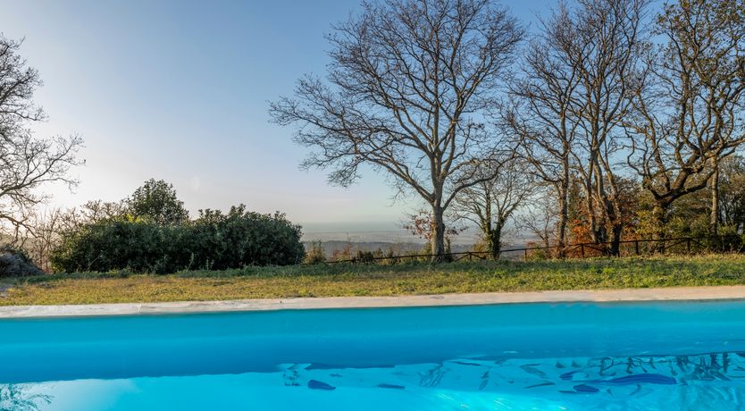 Photo of The Forest & The Sea