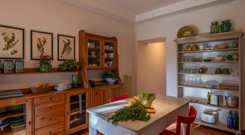 Photo of The Forest & The Sea