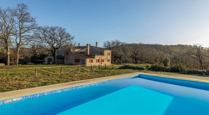 Photo of The Forest & The Sea