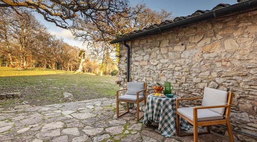 Photo of The Forest & The Sea