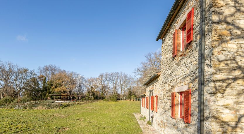 Photo of The Forest & The Sea